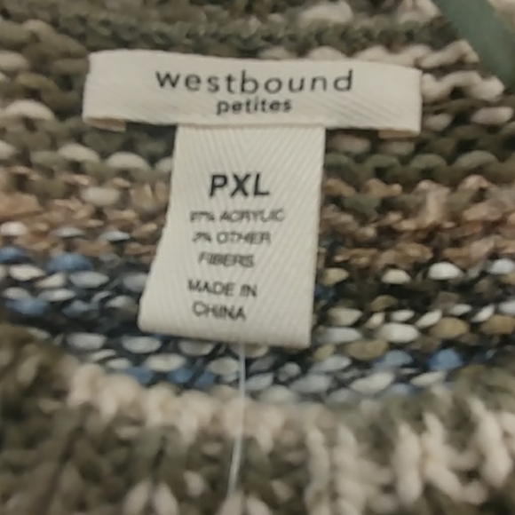 Westbound Petites Striped Crew Neck Sweater - Picture 8 of 8